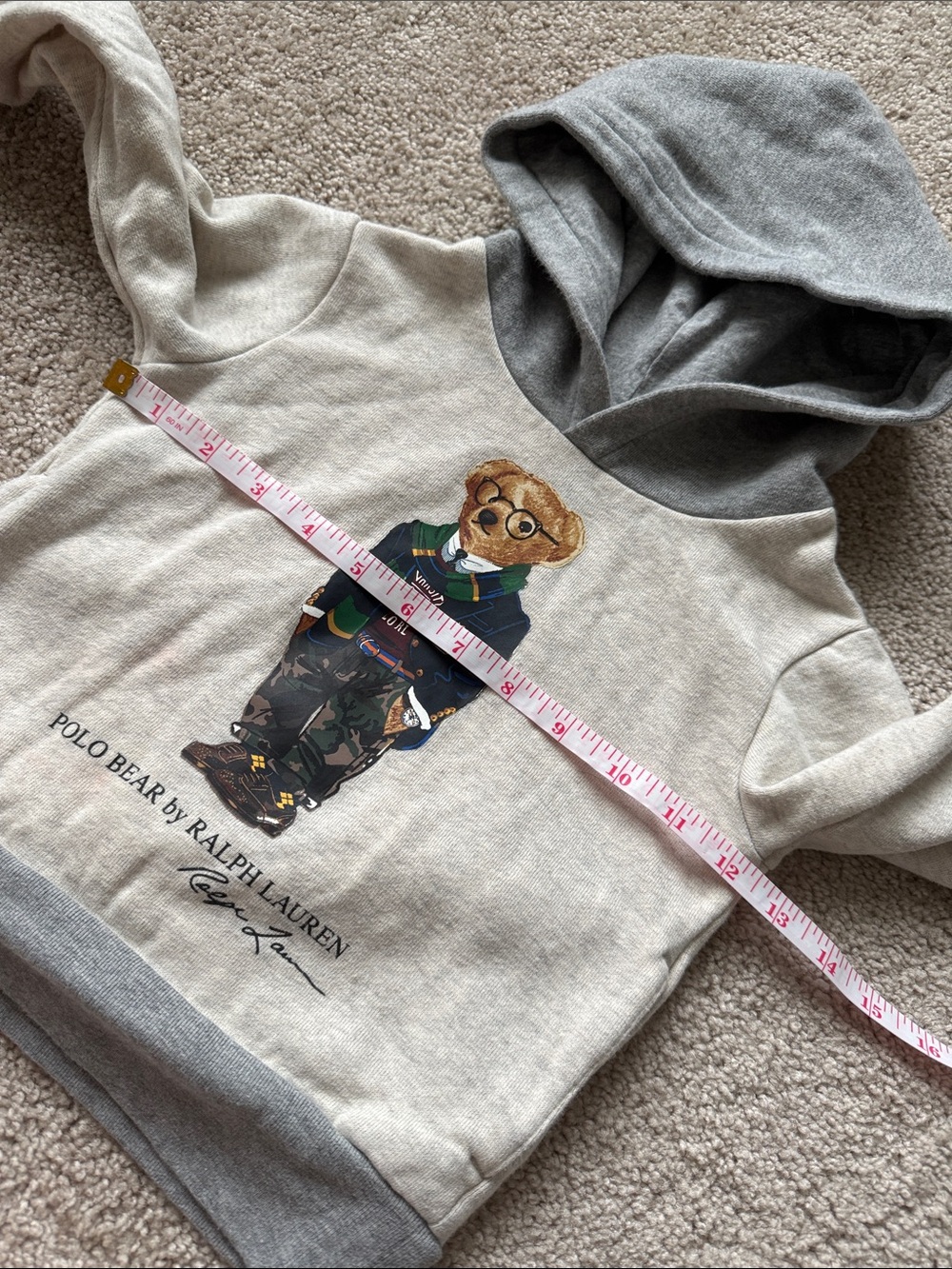 Polo Ralph Lauren Bear University Colorblock Hoodie Sweatshirt Grey - Picture 7 of 7